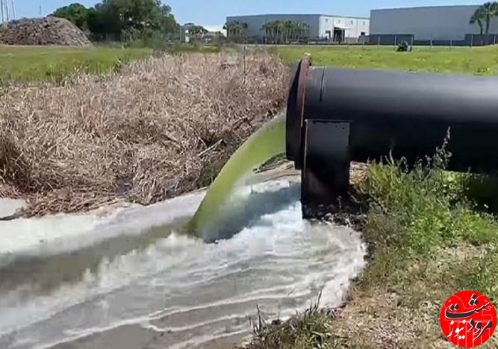 عملیات معدوم سازی محصولات کشاورزی آبیاری شده با پسآب شهری در مرودشت