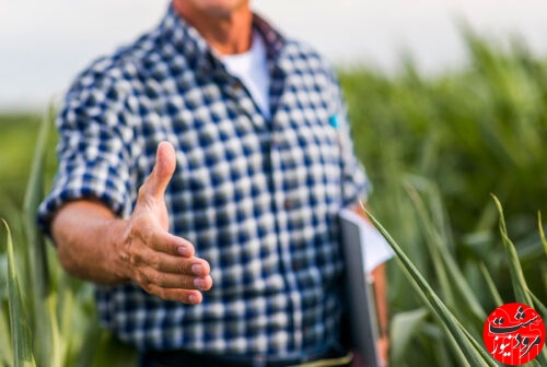 جزئیات کشاورزی قراردادی برای سال زراعی جدید که کشاورزان باید بدانند